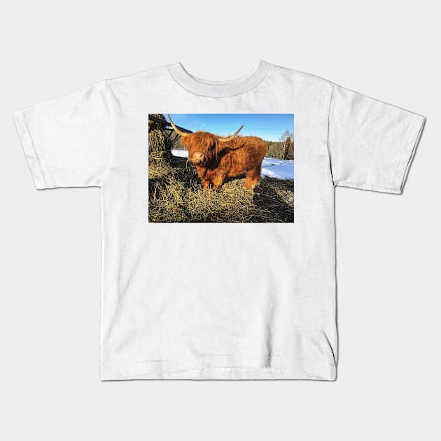 Scottish Highland Cattle Cow 2312 Kids T-Shirt by SaarelaHighland
